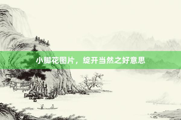 小脚花图片，绽开当然之好意思