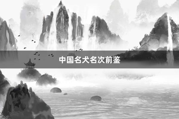 中国名犬名次前鉴